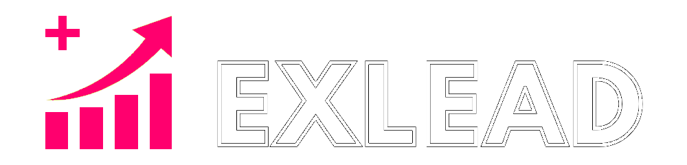 EXLEAD weißer Rand